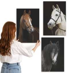 Canvas Art Set Of 3 - Portraits Horses in Different Shades Fur, Black Large Wall Art, Animals Hanging Piece - thumbnail 3