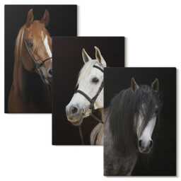 Canvas Art Set Of 3 - Portraits Horses in Different Shades Fur, Black Large Wall Art, Animals Hanging Piece - thumbnail 2