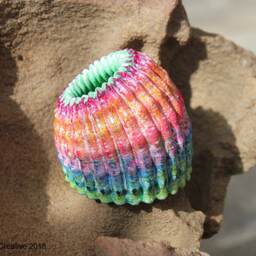 Brain Coral Jewellery Container - thumbnail 3
