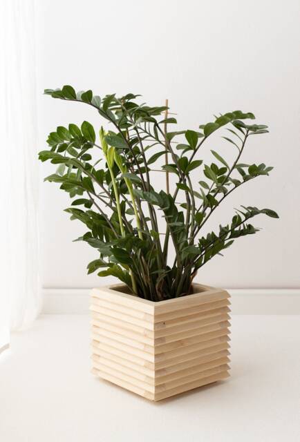 Natural Indoor Wooden Planter, Terrace Flowerpot in Minimal Design 3D, Pot For Outdoor Or Indoor, Boho Patio Flower - image 1