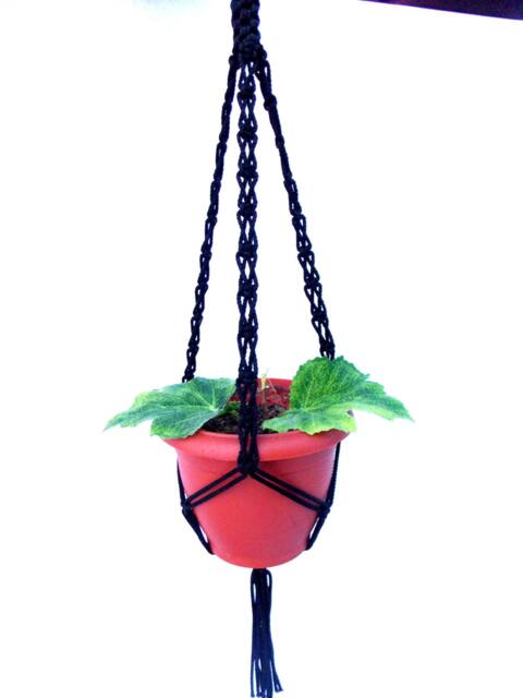 Black Macrame Plant Hanger 20 Inches 3mm Hanging Planter Window Cord Wall Hanging Planter Pattern Gift Idea Indoor Or Outdoor Decor - image 1