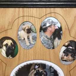 11x14 Dog Picture Frame Collage Mat Insert For - Paw Photo Pet Gift Use Memorial Custom - thumbnail 3