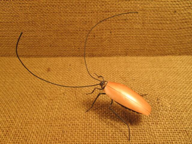 Cockroach Lifelike - image 1