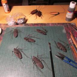 Cockroach Lifelike - thumbnail 4