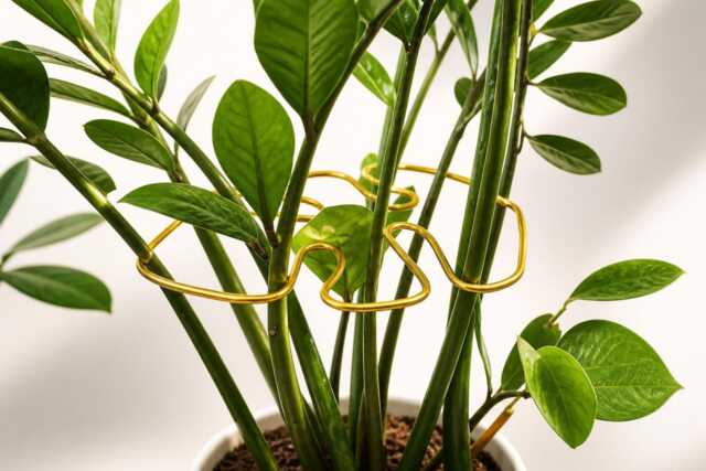 Handmade Monstera Plant Support - Leaf Shaped Stem Trellis For Zz, Alocasia & Philodendron Small To Medium Houseplant Wire - image 1