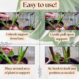 Handmade Monstera Plant Support - Leaf Shaped Stem Trellis For Zz, Alocasia & Philodendron Small To Medium Houseplant Wire - thumbnail 3
