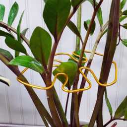 Handmade Monstera Plant Support - Leaf Shaped Stem Trellis For Zz, Alocasia & Philodendron Small To Medium Houseplant Wire - thumbnail 4