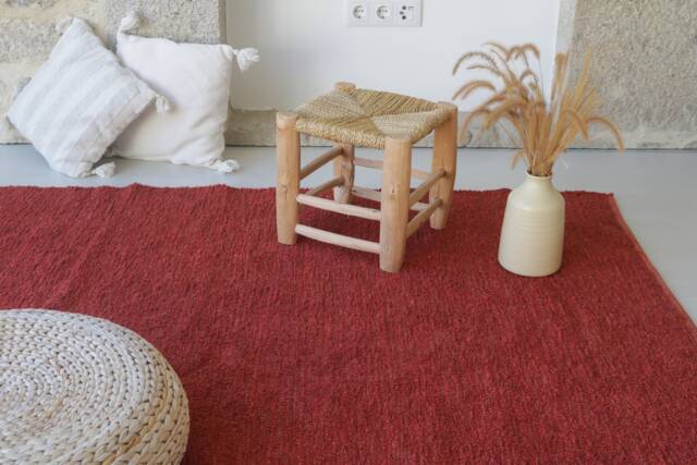 Large Terracotta Rug 5x8 Feet, Area Rug, Living Room Bohemian Soft Kids Minimalist Design, Salon Tapis - image 1