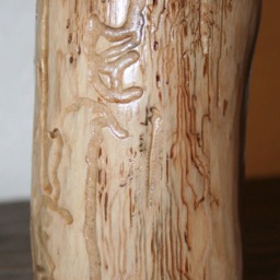 Unique Cedar Tealight Candle Holder - Medium - thumbnail 3