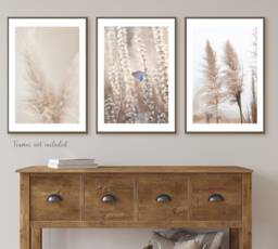 Set Of 3 Natural Beige Prints, Pampas Grass Bedroom Wall Art, Living Room Posters, Neutral Boho Unframed - thumbnail 1