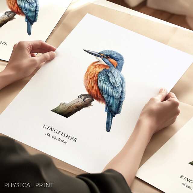 Kingfisher Wall Print, Bird Decor, Illustrations, Lover, Gift Prints - image 1