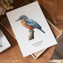 Kingfisher Wall Print, Bird Decor, Illustrations, Lover, Gift Prints - thumbnail 2