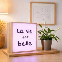 "Lightbox Led ""La Vie Est Belle"