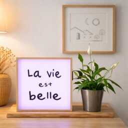 "Lightbox Led ""La Vie Est Belle" - thumbnail 3