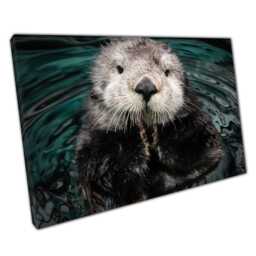 Fluffy Sea Otter Canvas Print - Cute Wild Animal Photography For Home Office Decor - thumbnail 1