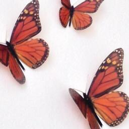 3D Monarch Butterfly Wall Art Brown Home Decor, Set Of 18 - thumbnail 2