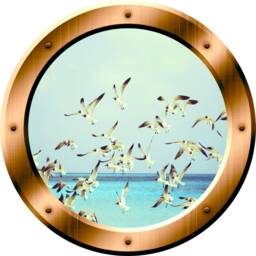 Vwaq Seagulls Wall Decals Flock Of Birds Decor Porthole Peel & Stick Art - Bp37 - thumbnail 2