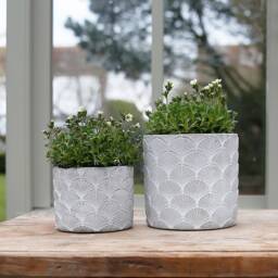 Fan Concrete Plant Pot - thumbnail 2