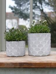 Fan Concrete Plant Pot