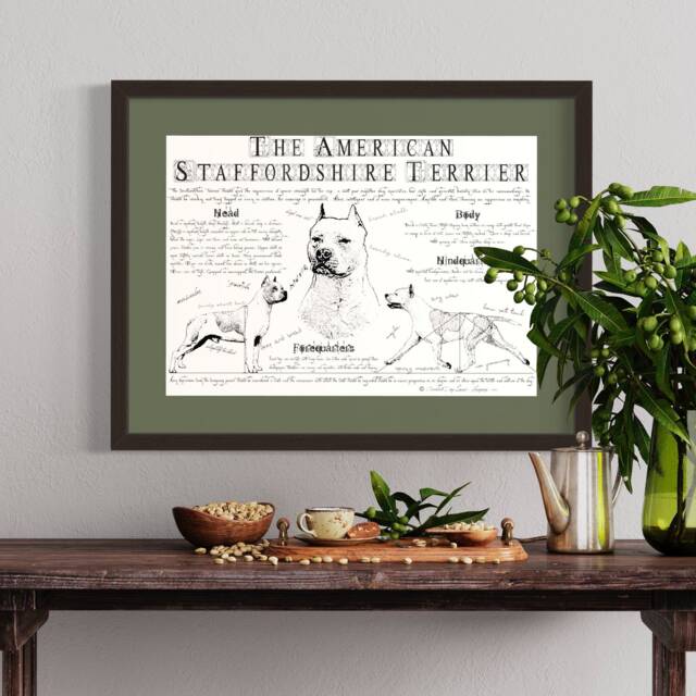 American Staffordshire Terrier - Cropped Ears Vintage Anatomy Poster - image 1