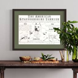 American Staffordshire Terrier - Cropped Ears Vintage Anatomy Poster - thumbnail 1