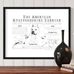 American Staffordshire Terrier - Cropped Ears Vintage Anatomy Poster - thumbnail 3