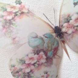 Shabby Chic Butterfly Wall Decals Pink Rose & Blue Bird 3D Art - thumbnail 1