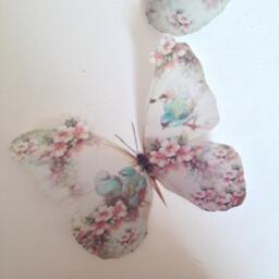 Shabby Chic Butterfly Wall Decals Pink Rose & Blue Bird 3D Art - thumbnail 3