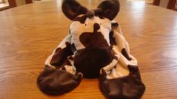 Minky Animal Security Blanket Toy, Elephant, Cows, Dogs, Frogs