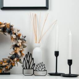Succulent Set - Line Art 3D Print Gift Idea & Decoration For Plant Lovers - thumbnail 2
