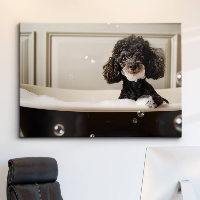Poodle in The Bathtub Dog Pet Abstract Modern Black & White Wall Art Framed Canvas Poster Print, Home Kitchen Office Decor - image 1