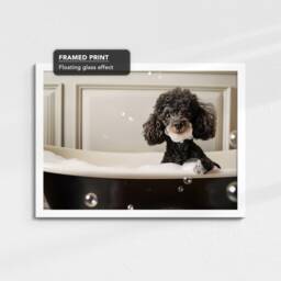 Poodle in The Bathtub Dog Pet Abstract Modern Black & White Wall Art Framed Canvas Poster Print, Home Kitchen Office Decor - thumbnail 3