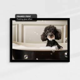 Poodle in The Bathtub Dog Pet Abstract Modern Black & White Wall Art Framed Canvas Poster Print, Home Kitchen Office Decor - thumbnail 2