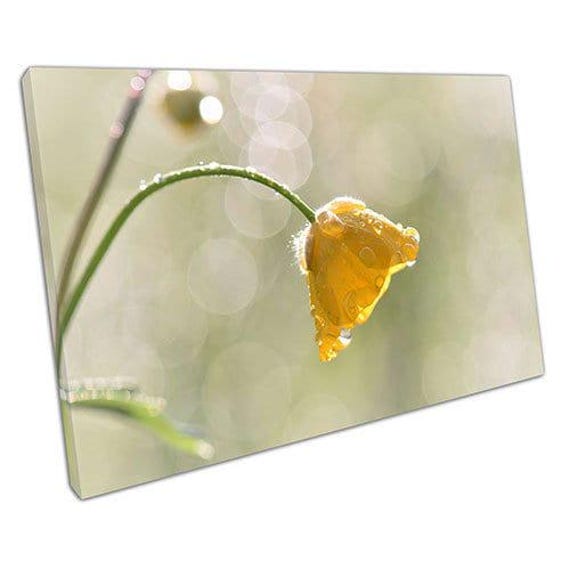 Vibrant Yellow Daffodil Canvas Print Elegant Floral Wall Art For Home & Office Decor - image 1