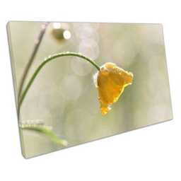 Vibrant Yellow Daffodil Canvas Print Elegant Floral Wall Art For Home & Office Decor - thumbnail 1