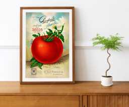 Reprint Of A Vintage Tomato Seed Company Poster - thumbnail 1