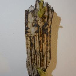 Driftwood Wall Hanging With Macrame Rock - Woodburning Art - thumbnail 2
