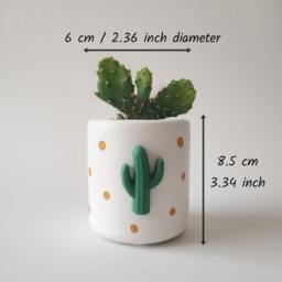 Handmade Concrete Succulent Planter, Cactus Decor, Minimalist Decor - thumbnail 4