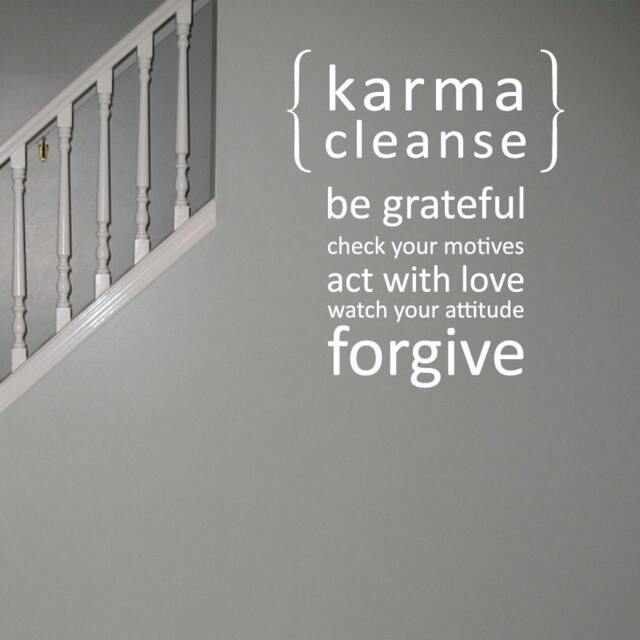 Karma Cleanse 01 Vinyl Wall Quote Decal - Wd0131 - image 1