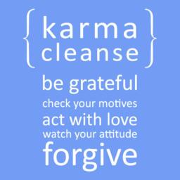Karma Cleanse 01 Vinyl Wall Quote Decal - Wd0131 - thumbnail 3