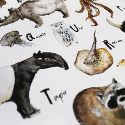 Abc Poster Animals - Educational Art Print Watercolor Painting Din A2 - thumbnail 2
