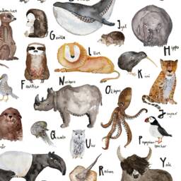 Abc Poster Animals - Educational Art Print Watercolor Painting Din A2 - thumbnail 3