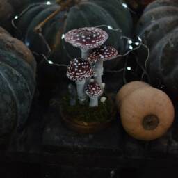 Ooak Terrarium With Toadstools - Decoration Forest Under A Glass Dome Rock Crystal, Glowing Mushrooms - thumbnail 4