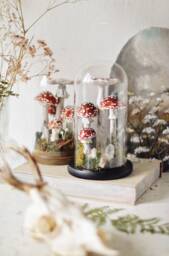 Ooak Terrarium With Toadstools - Decoration Forest Under A Glass Dome Rock Crystal, Glowing Mushrooms