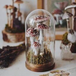 Ooak Terrarium With Toadstools - Decoration Forest Under A Glass Dome Rock Crystal, Glowing Mushrooms - thumbnail 3