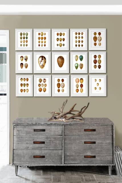 Bird Eggs Wall Art Set Of 15 Unframed Prints Easter Decoration Neutral Dinging Room Decor - image 1