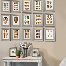 Bird Eggs Wall Art Set Of 15 Unframed Prints Easter Decoration Neutral Dinging Room Decor - thumbnail 2