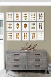 Bird Eggs Wall Art Set Of 15 Unframed Prints Easter Decoration Neutral Dinging Room Decor - thumbnail 1