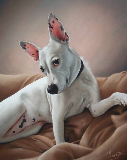 Realistic Dog Portrait Hand Painted From Photo, Custom Pastel Pet Portrait, Parent Gift, Memorial - image 1