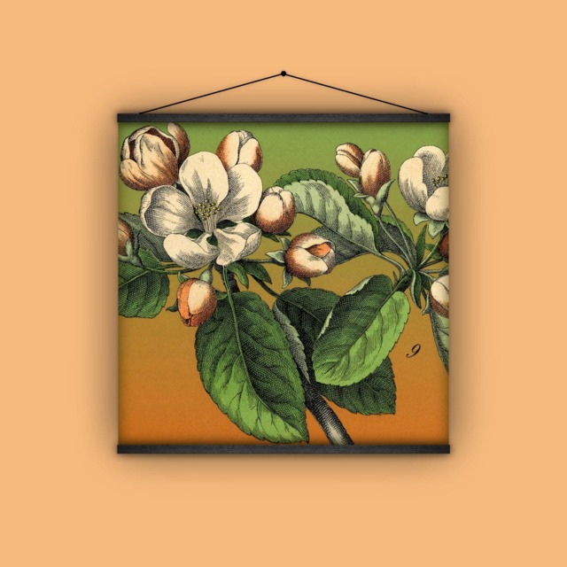 Floral, Botanical, Apple Blossoms, Garden, Wall Hanging, Banner, Antique, Vintage, Natural History, Pull Down Chart - image 1